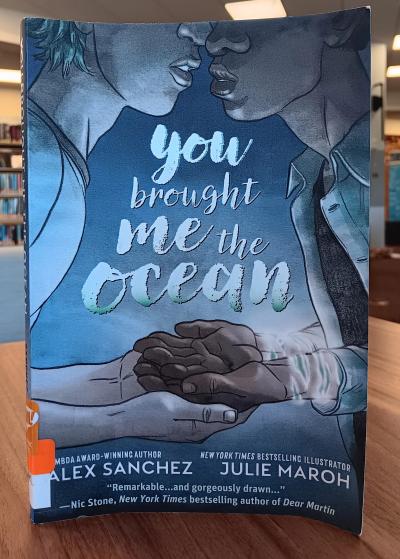 You Brought Me the Ocean book cover