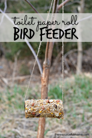 bird feeder