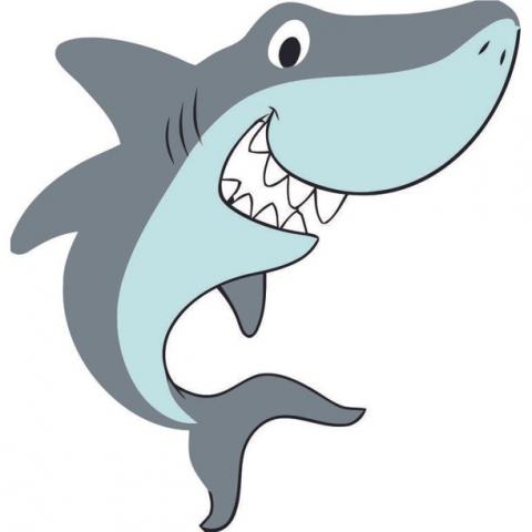 cartoon shark