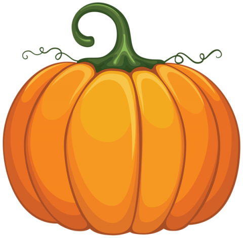 large orange pumpkin with a green stem