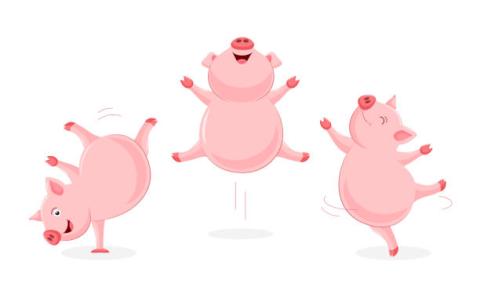 Dancing Pigs