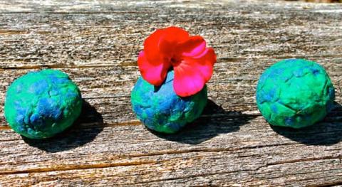 seed bombs against a wood background 