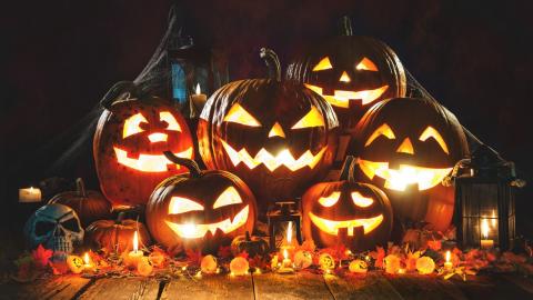 halloween pumpkins against a black background