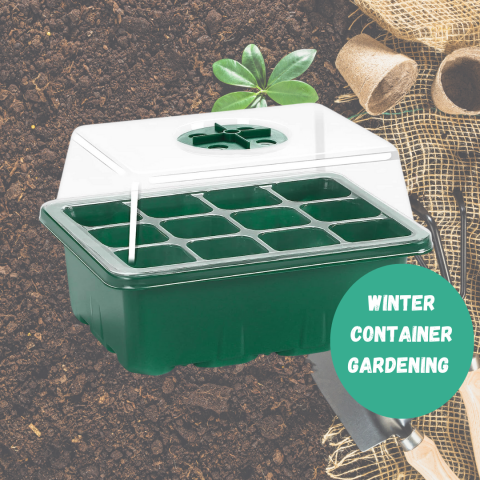 Winter Container Gardening