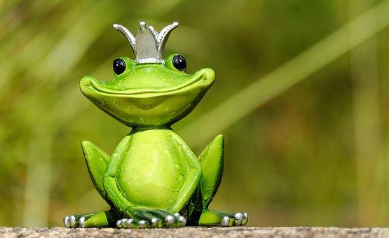 the frog prince