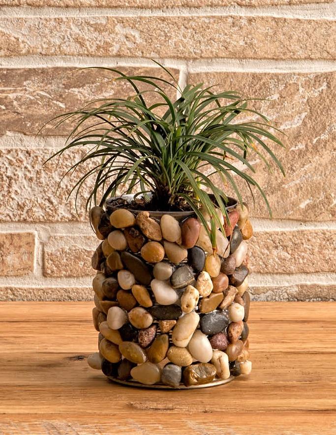 planter covered in stones with succulent