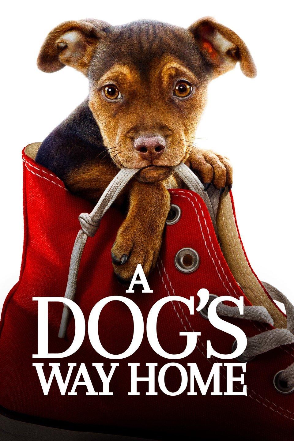 A Dog's Way Home movie poster