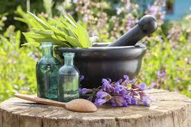 stump with mortar and pestle, bottles and medicinal herbs