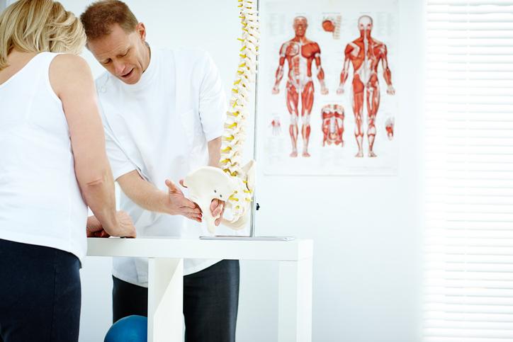 two people with white tops and black pants standing at a white table having a conversation, one of them holds a model of a spine, blurred in the background is a diagram of the muscle structure of the body