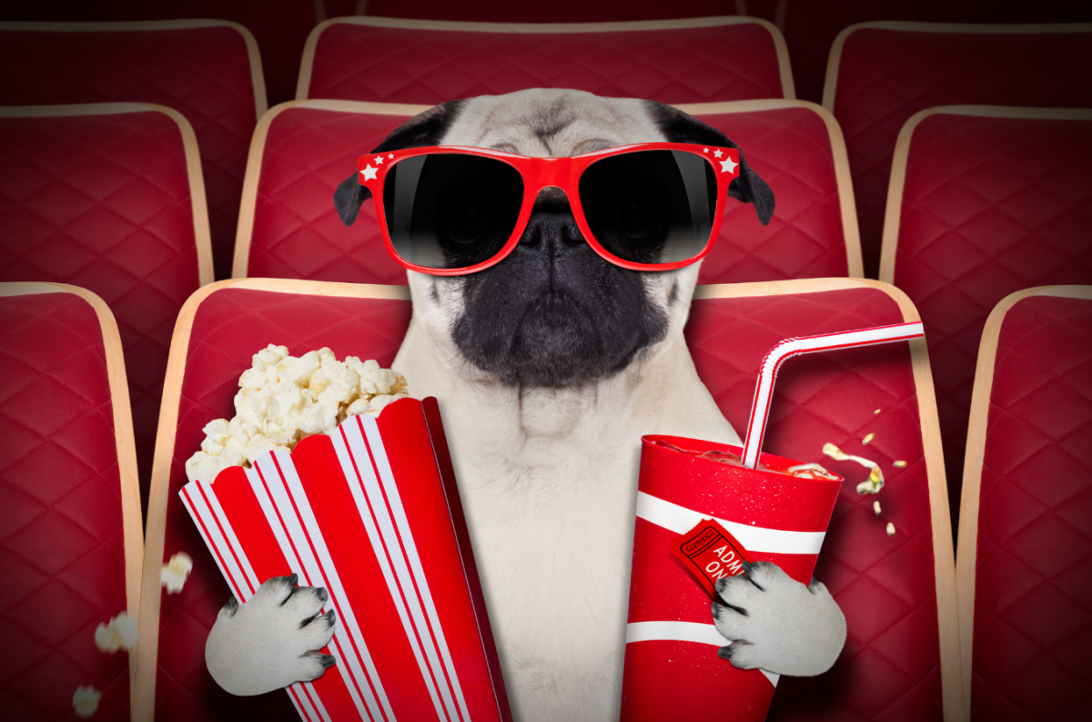 Movie Dog