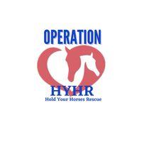 Operation Hold Your Horses logo